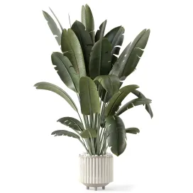 Indoor plants in ferm living bau pot large